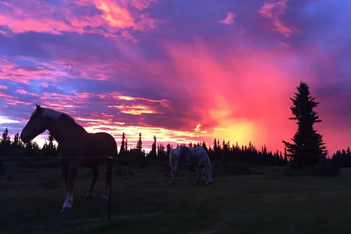 Denali-Nationalpark und Schutzgebiet