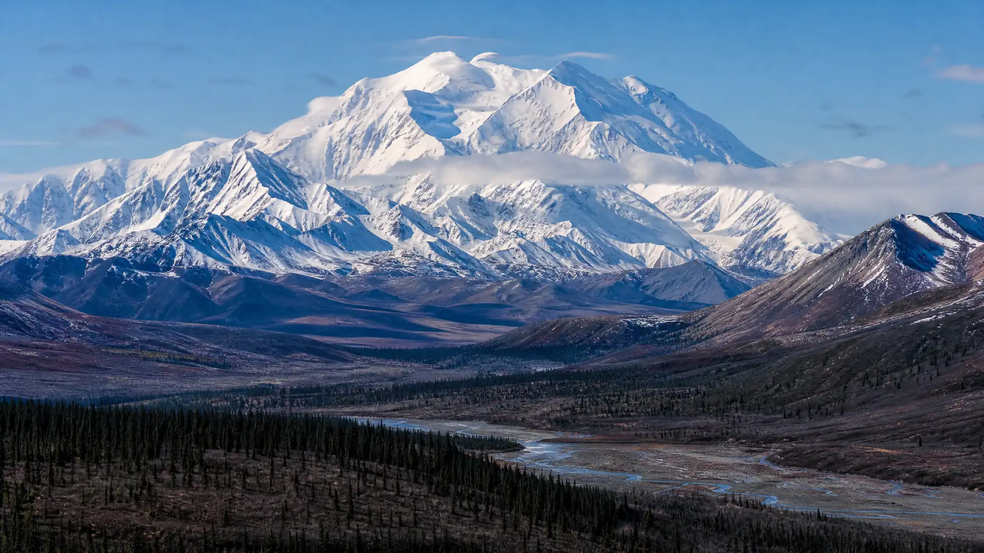 Erkunden Sie 6 Millionen Acres wilde Natur im Landesinneren Alaskas. Eine einzige 92 Meilen lange Straße bietet Zugang zum Mount Denali und der berühmten Tierwelt.