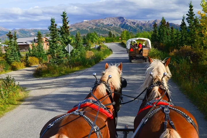 Blick aus einem Pferdewagen auf einen unbefestigten Weg in Richtung Berge