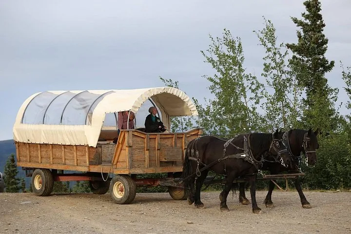 ein von Pferden gezogener Planwagen mit Passagieren auf einem unbefestigten Weg
