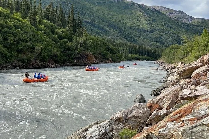mehrere orangefarbene Rafts fahren auf einem breiten Fluss, der von bewaldeten Hügeln umgeben ist