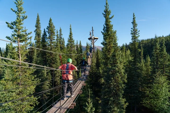 Menschen betrachten den Denali, den höchsten Berggipfel Nordamerikas